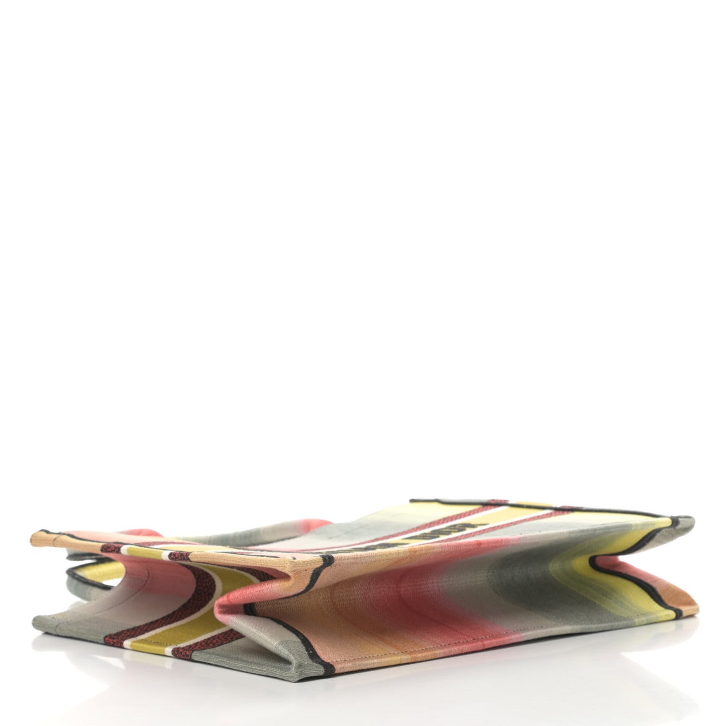 Canvas Embroidered Medium Dioraura Book Tote Multicolor