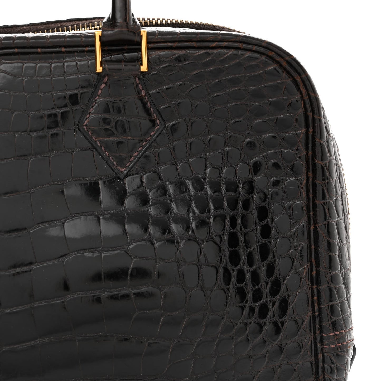 Shiny Alligator Plume 28 Ebene