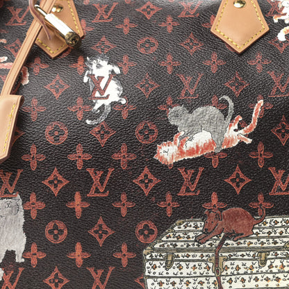 Louis Vuitton Catogram Speedy Bandouliere 30 Marron 8 of 10