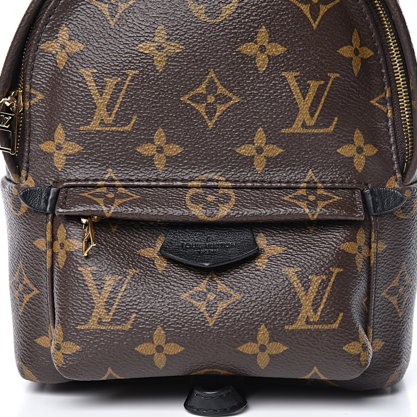 Monogram Palm Springs Backpack Mini