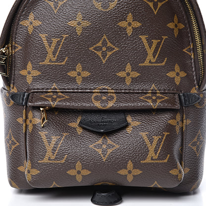 Louis Vuitton Monogram Palm Springs Backpack Mini 8 of 14