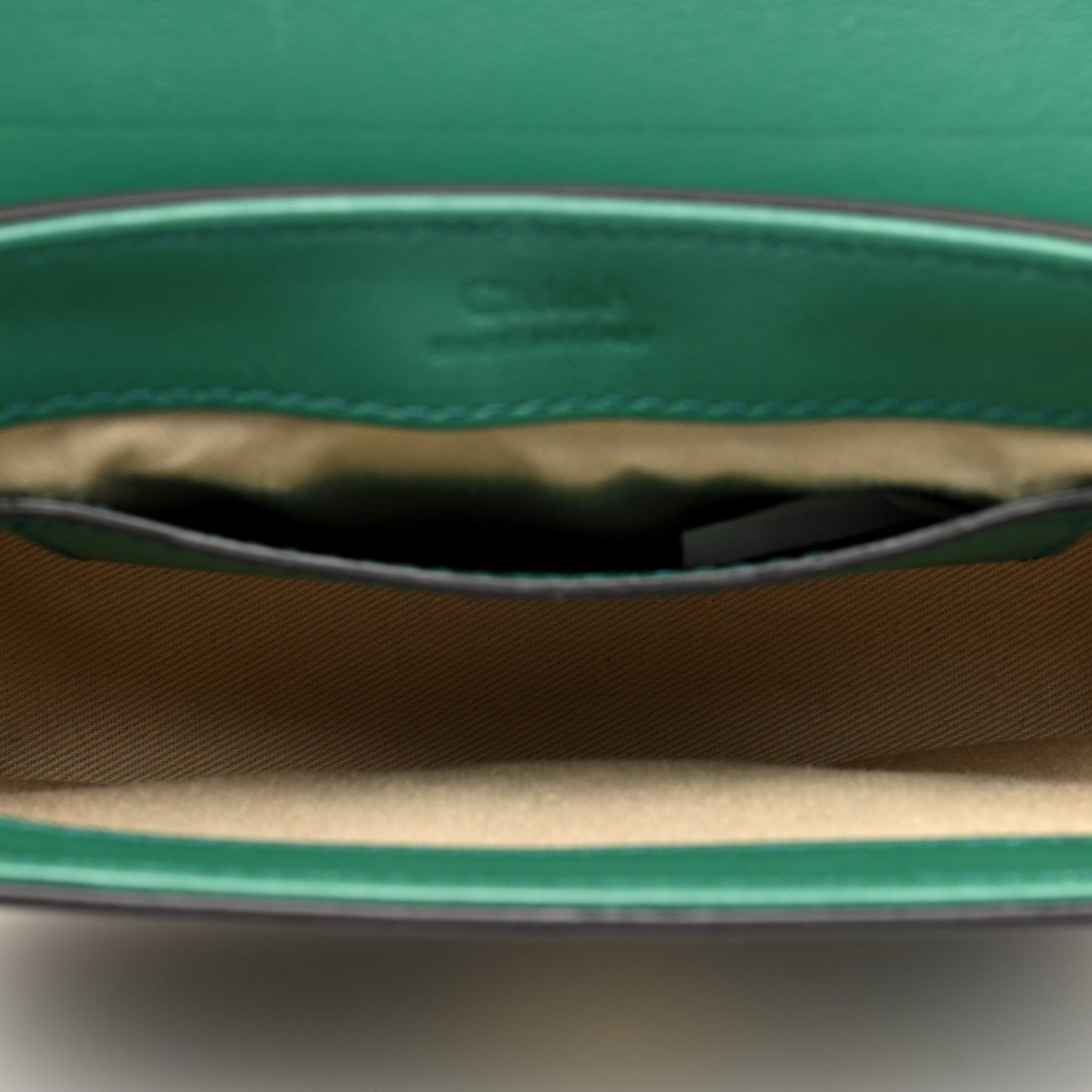 Calfskin Crocodile Embossed Mini C Double Carry Woodsy Green
