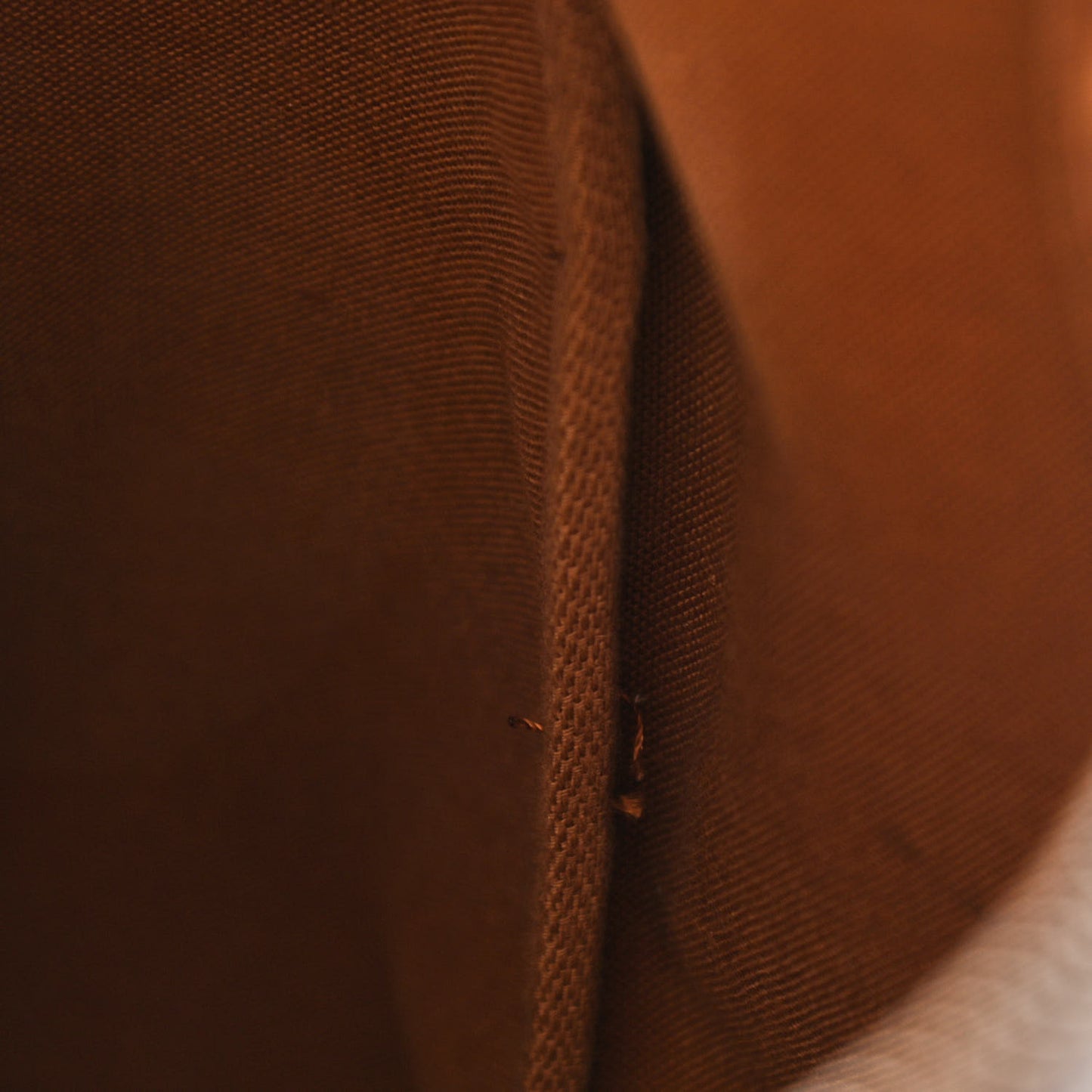 Monogram Sac Flanerie 45