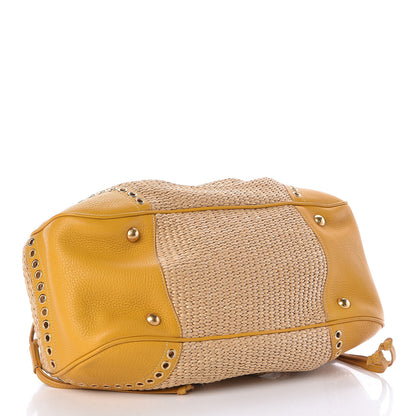 Prada Paglia Vitello Frame Satchel Naturale Mimosa 4 of 10