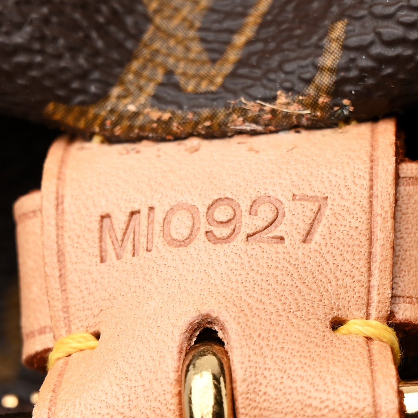 Monogram Montsouris GM Backpack