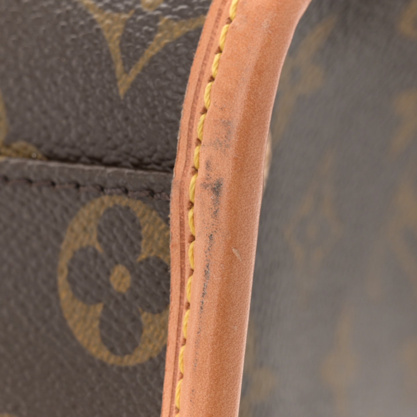 Monogram Sac Baxter PM Dog Pet Carrier