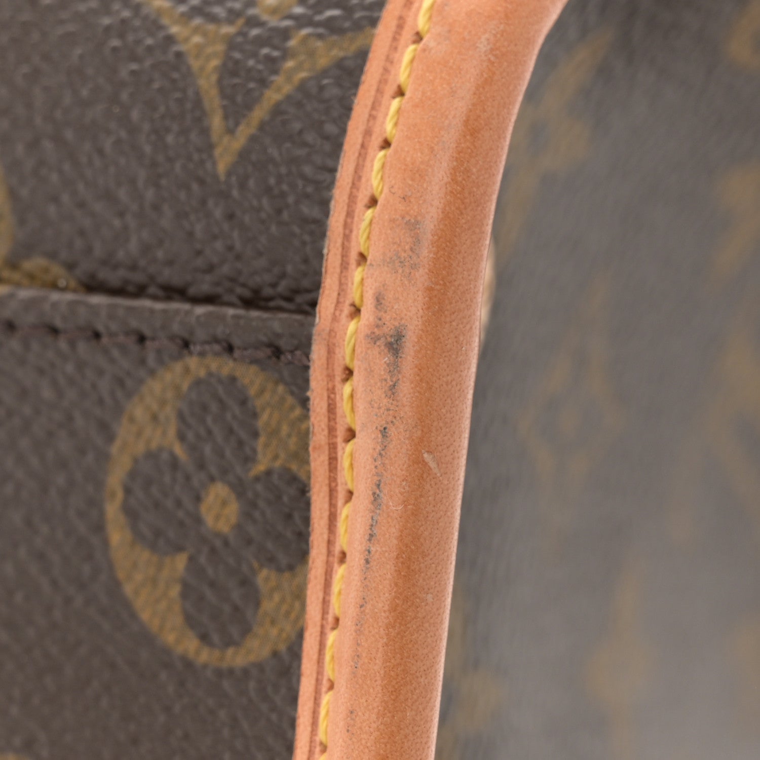 Louis Vuitton Monogram Sac Baxter PM Dog Pet Carrier 12 of 13