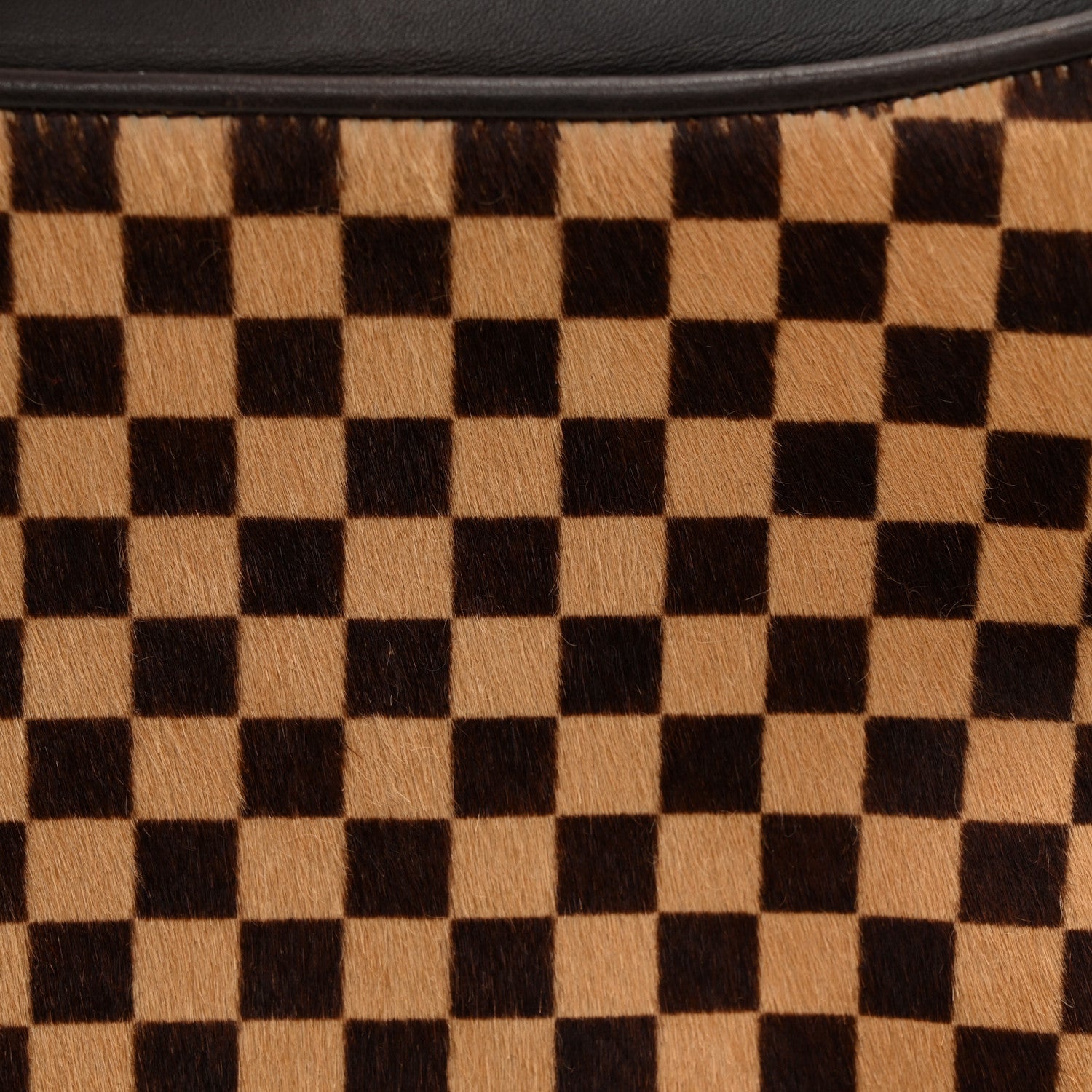 Louis Vuitton Calf Hair Damier Sauvage Tigre 7 of 10