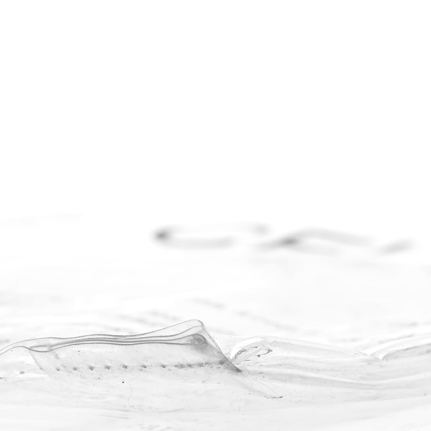 Plastic Bag with Cloudy Lambskin Solo Zip Pouch Clutch Lime