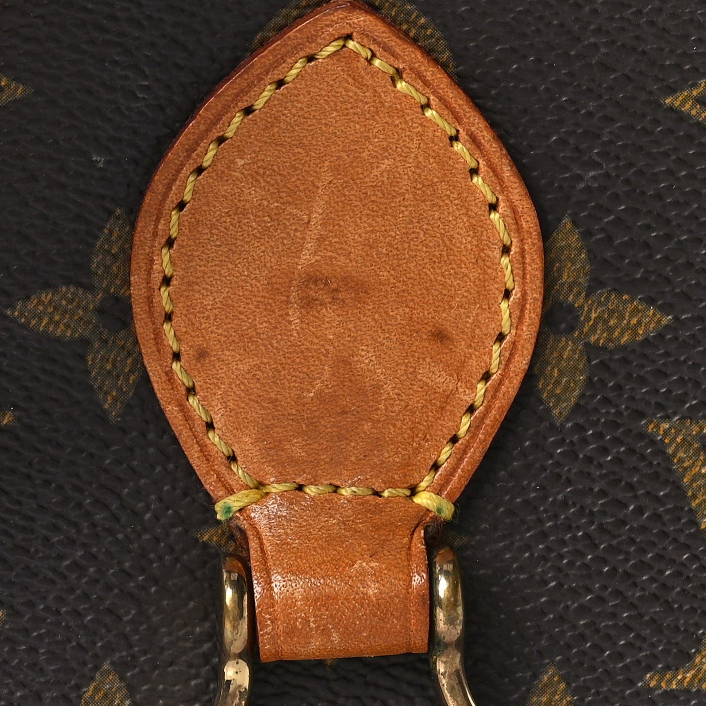Monogram Saint Cloud PM