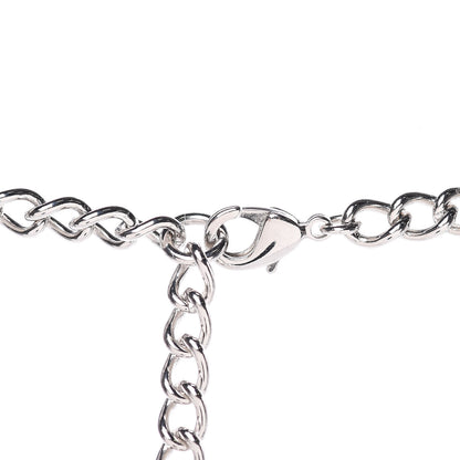 Chanel Crystal Wynn Exclusive Lucky Charm Necklace Silver 4 of 5