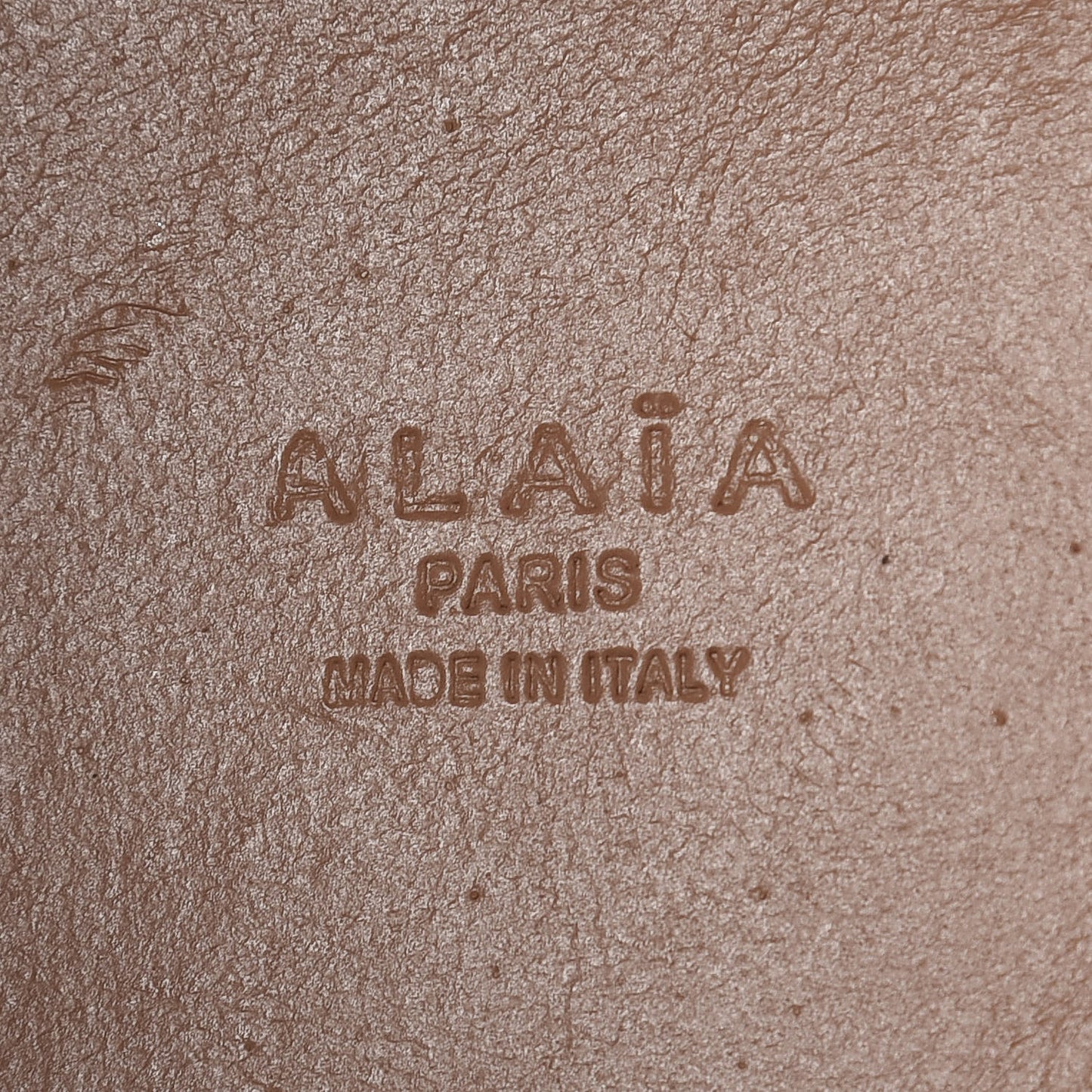 Calfskin Embellished Stella 17 Bucket Pourpre