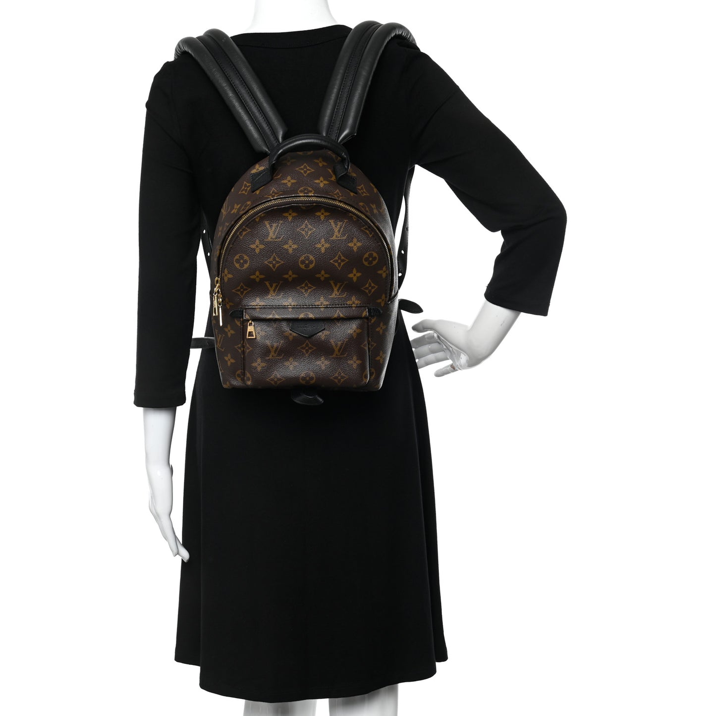 Monogram Palm Springs Backpack PM