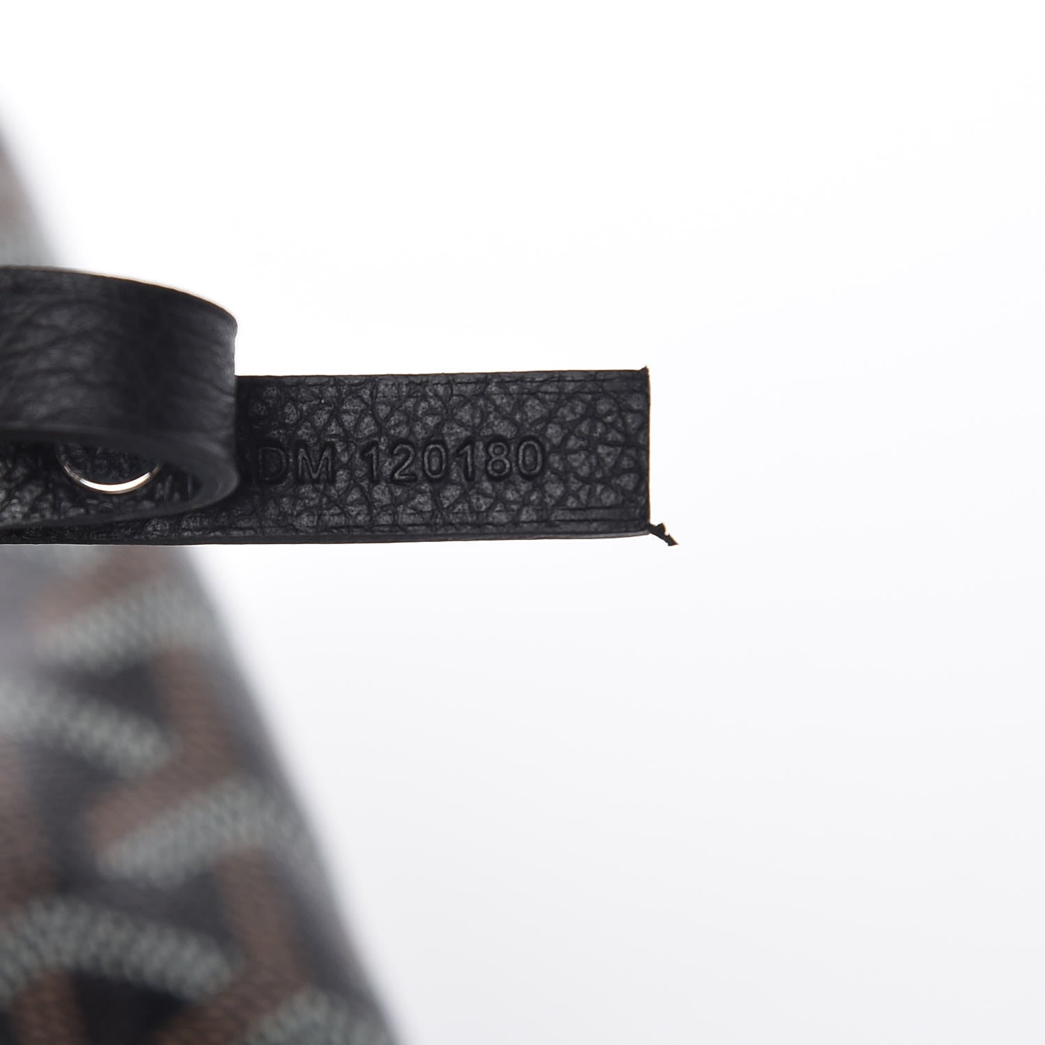 Goyard Goyardine Saint Louis PM Black 9 of 11