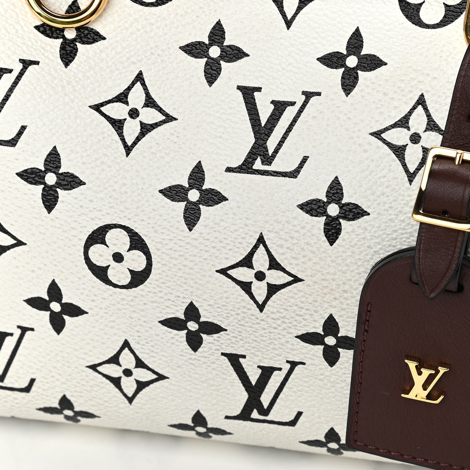 Louis Vuitton Monogram Speedy Amazon PM White Chocolat 15 of 18