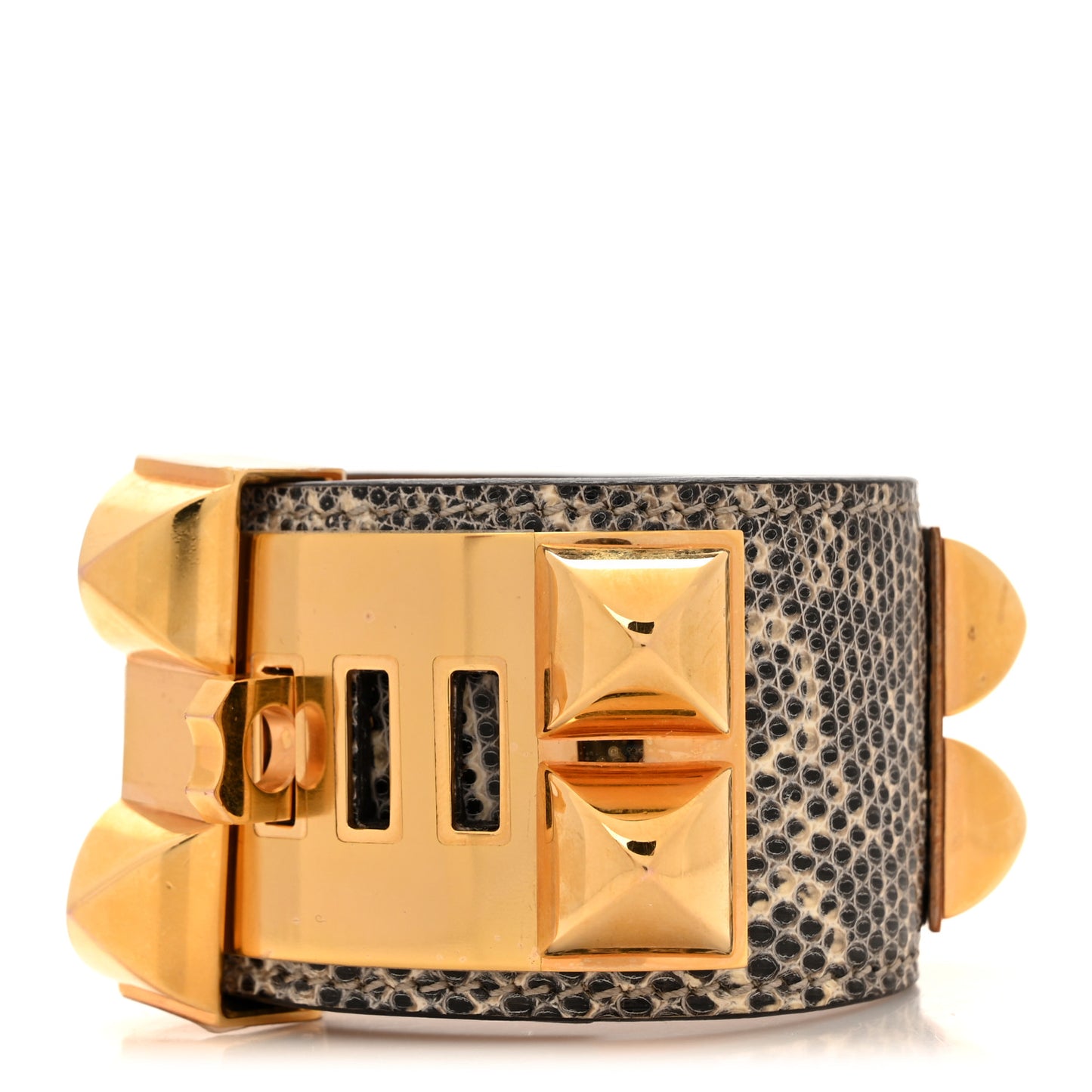 Lizard Collier De Chien CDC Bracelet T2 Ombre