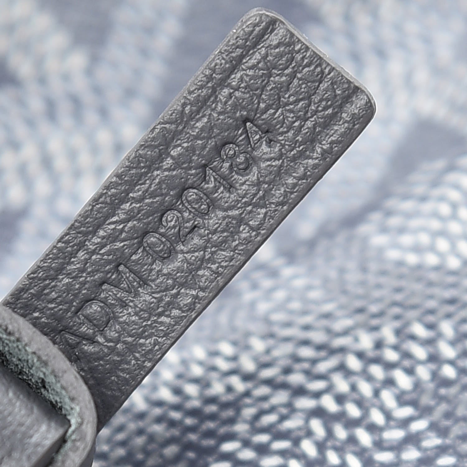 Goyard Goyardine Saint Louis PM Grey 12 of 12