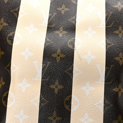 Louis Vuitton Monogram Rayures Neverfull MM 11 of 11