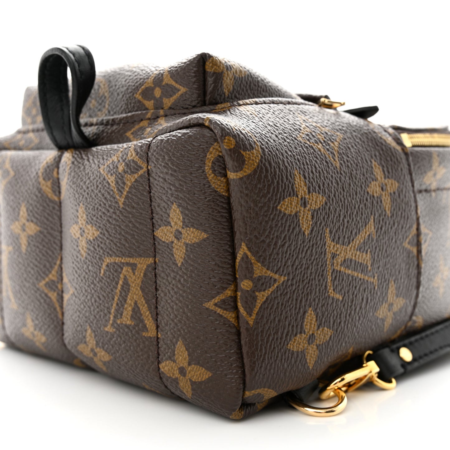 Monogram Palm Springs Backpack Mini
