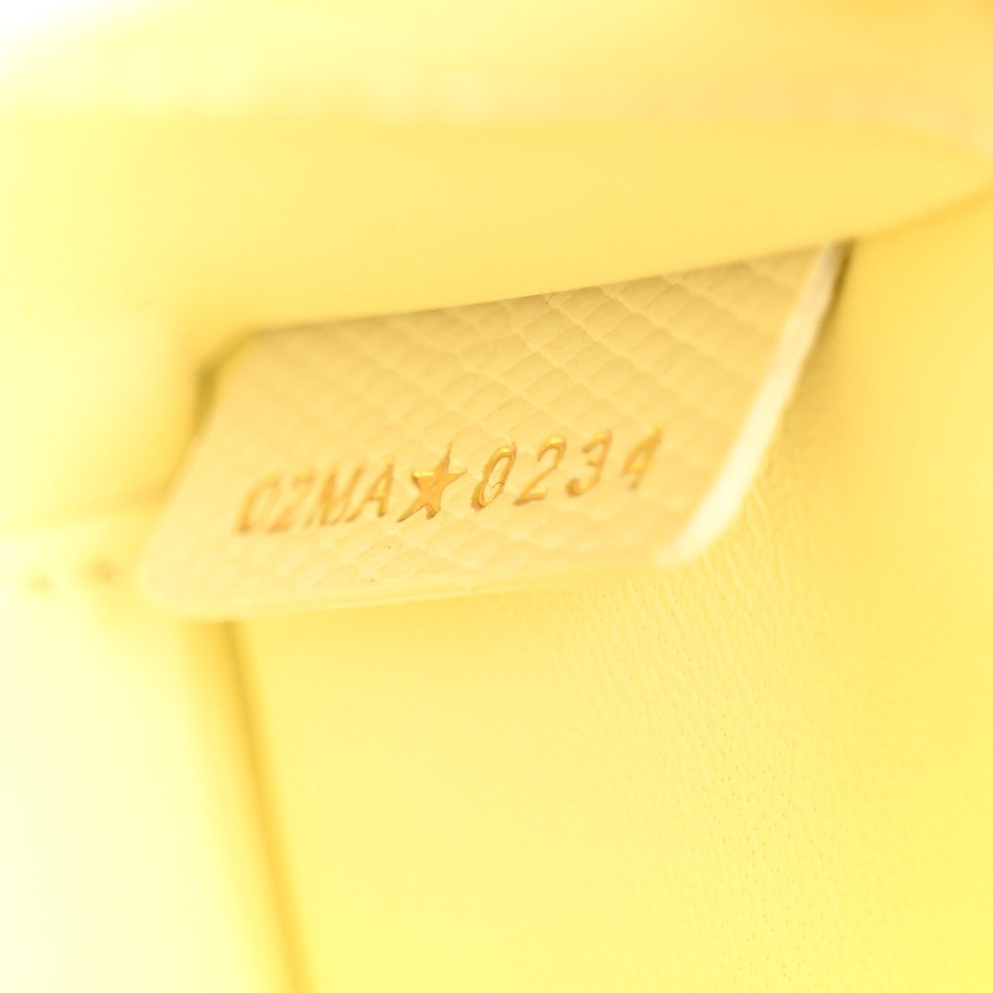Lizard Micro Lady Dior Yellow Multicolor