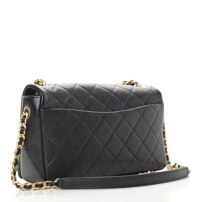 Chanel Caviar Quilted Medium Fashion Therapy Flap Bag Black 3 of 10