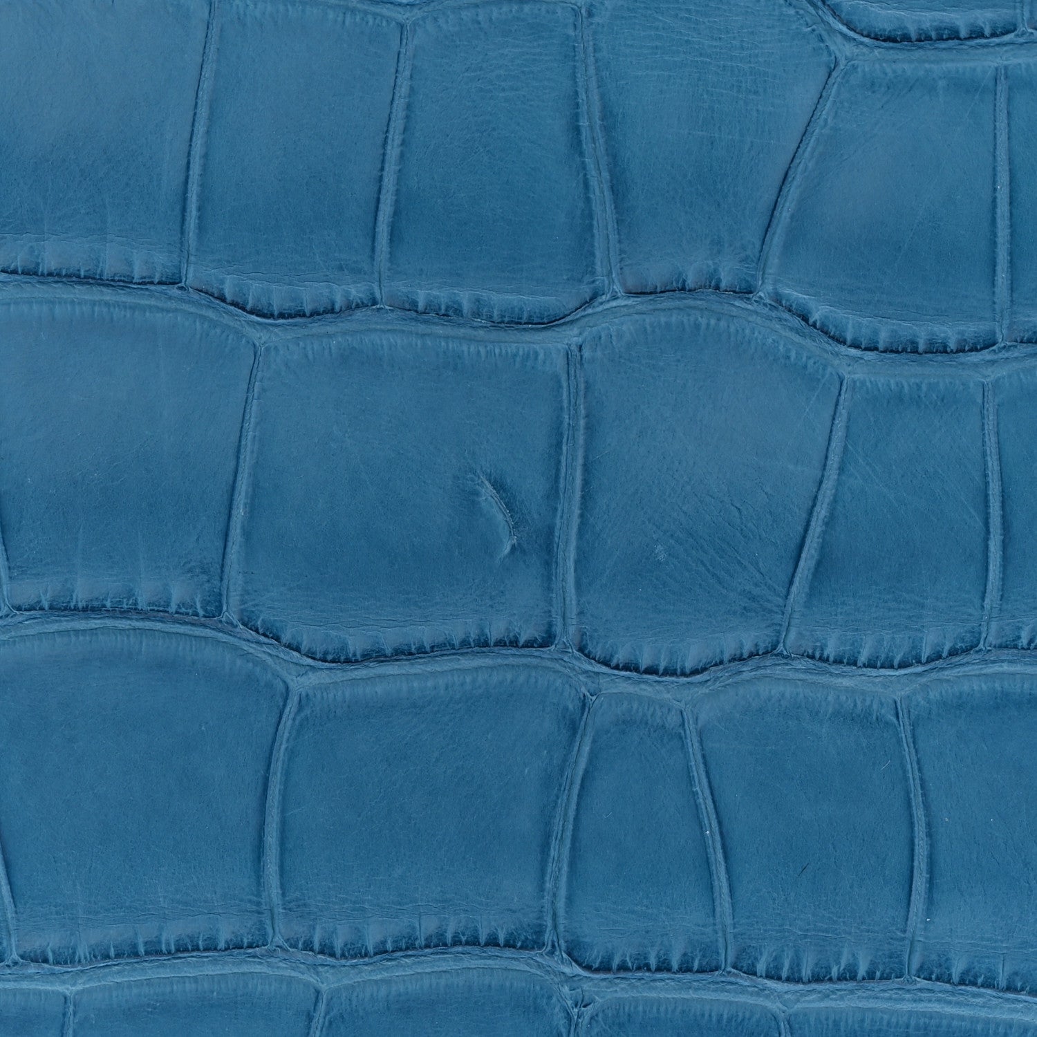 Hermes Matte Alligator Birkin 25 Mykonos 11 of 12