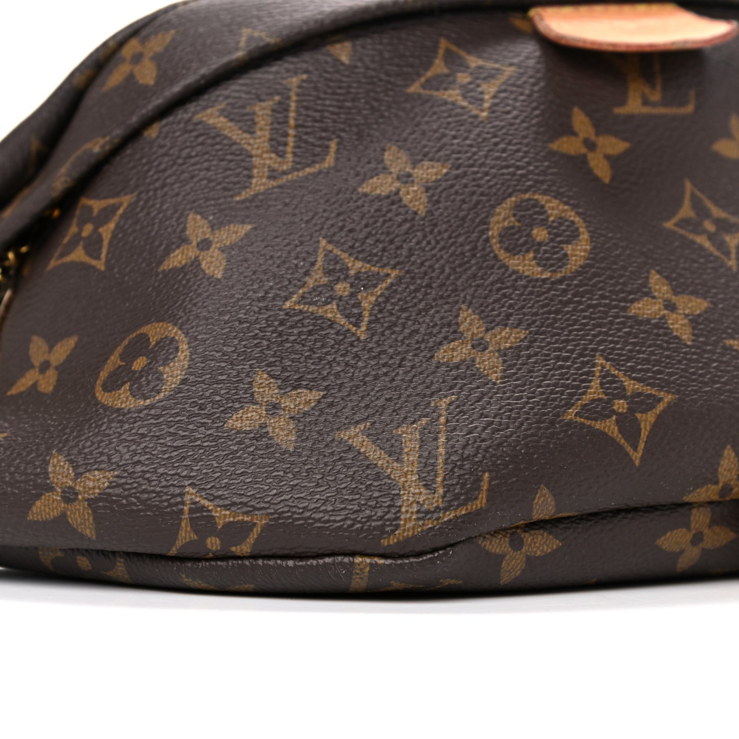 Monogram Bumbag