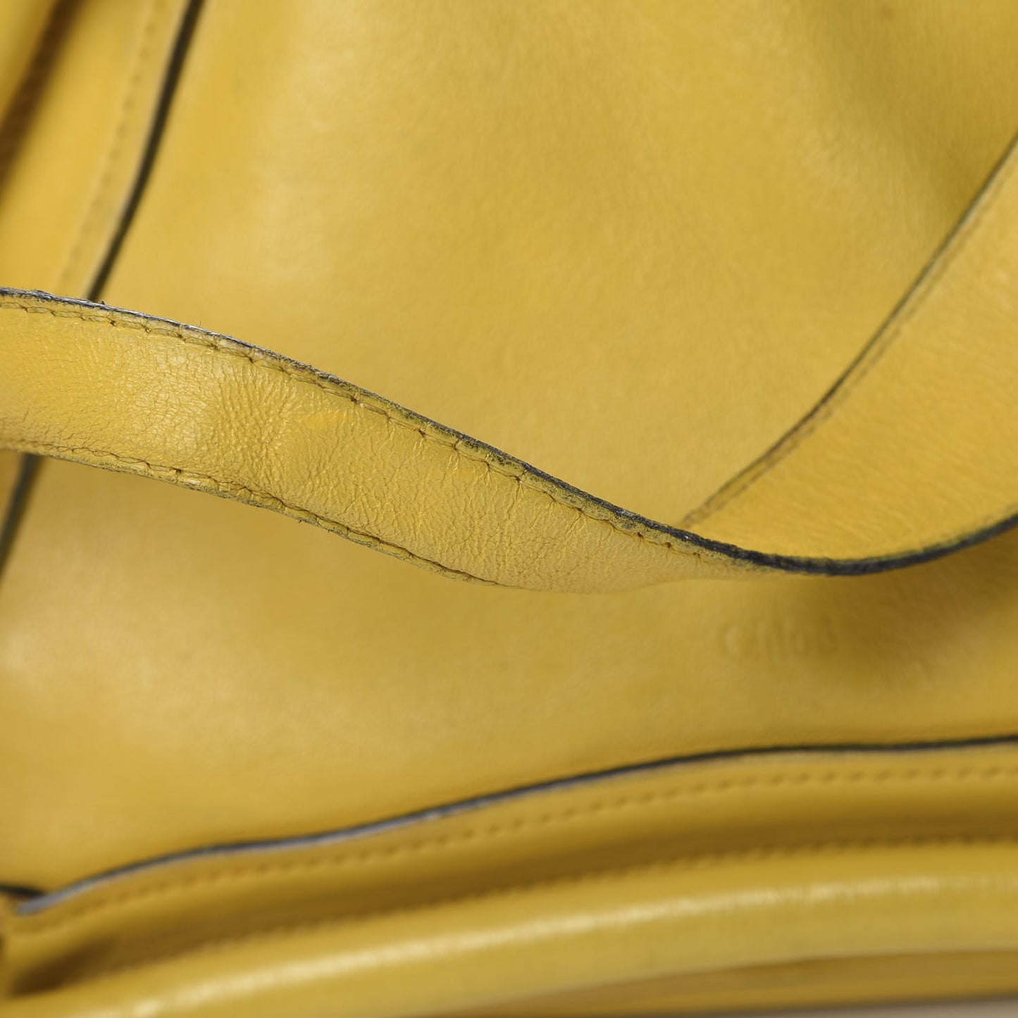 Calfskin Medium Paraty Citrus Grove