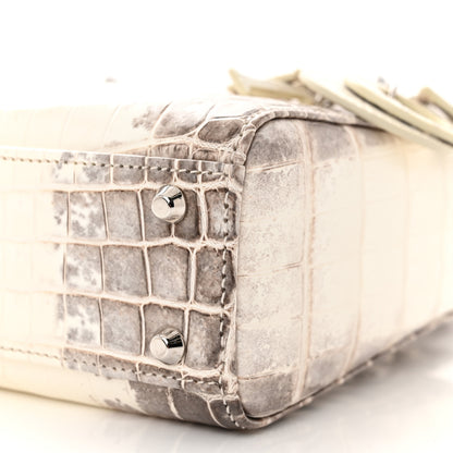 Christian Dior Niloticus Crocodile Himalaya Mini Lady Dior White 10 of 11