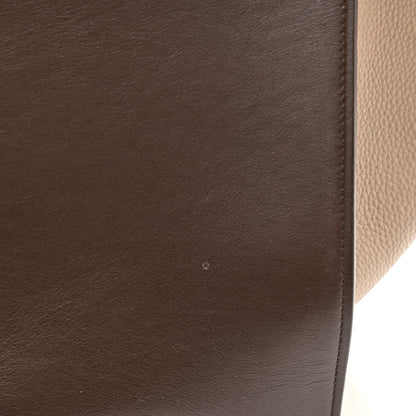 Celine Satin Baby Grained Calfskin Medium Tri-Color Trapeze Tan 11 of 12