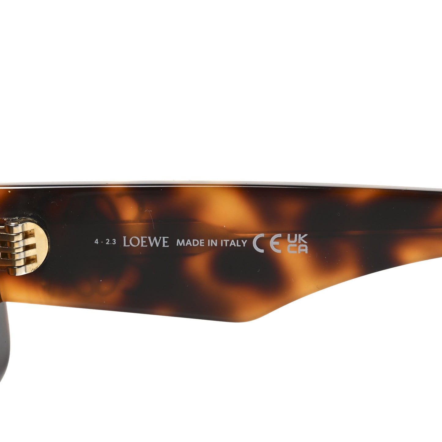 Acetate Rectangular Sunglasses LW40101I Tortoise