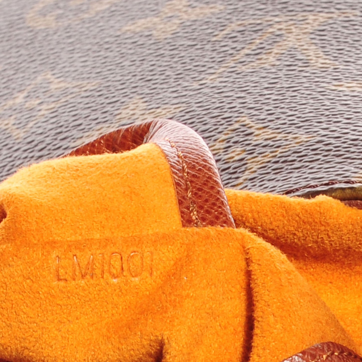 Monogram Musette Salsa