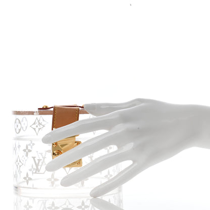 Louis Vuitton Transparent Plexiglass Box Scott 2 of 7