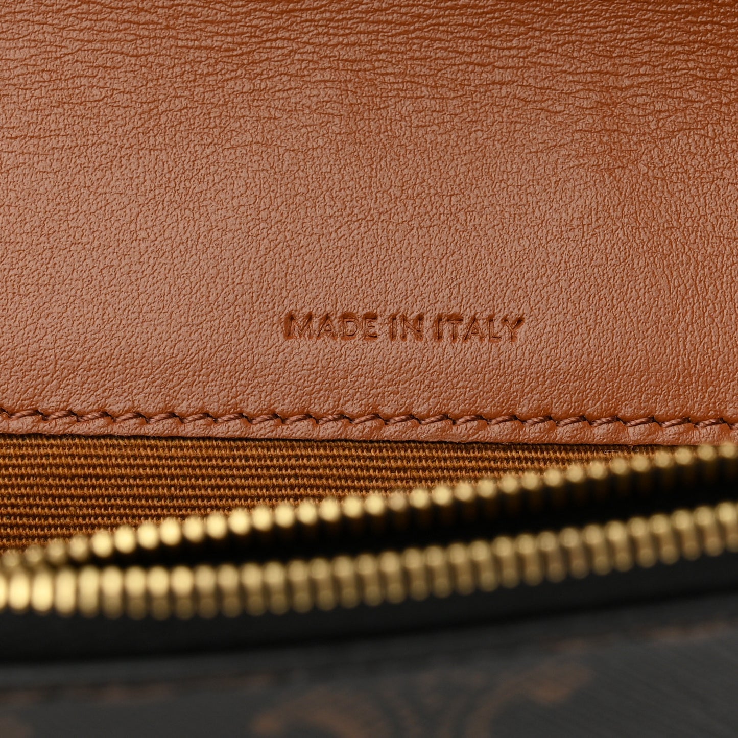 Triomphe Canvas Lambskin Wallet On Strap Tan