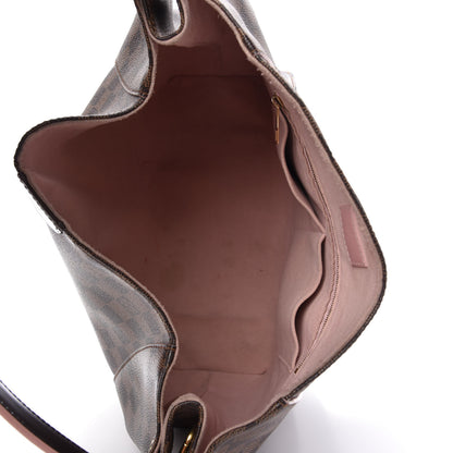 Louis Vuitton Damier Ebene Caissa Hobo Rose Ballerine 5 of 18