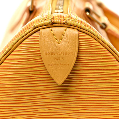 Louis Vuitton Epi Speedy 25 Tassil 6 of 22