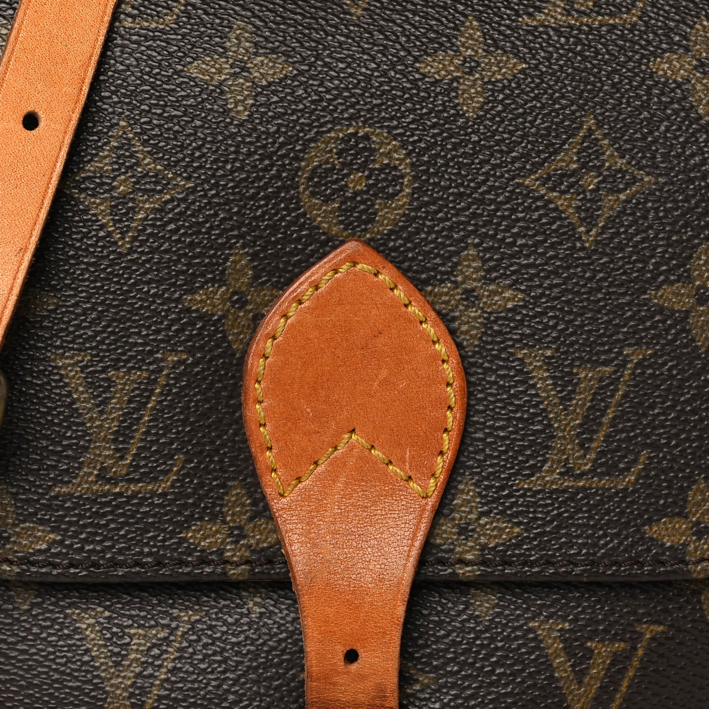 Monogram Cartouchiere 17