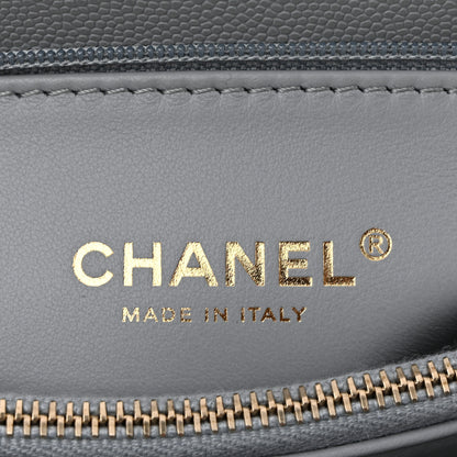 Chanel Caviar Lizard Embossed Quilted Small Coco Handle Flap Light Grey 6 of 10