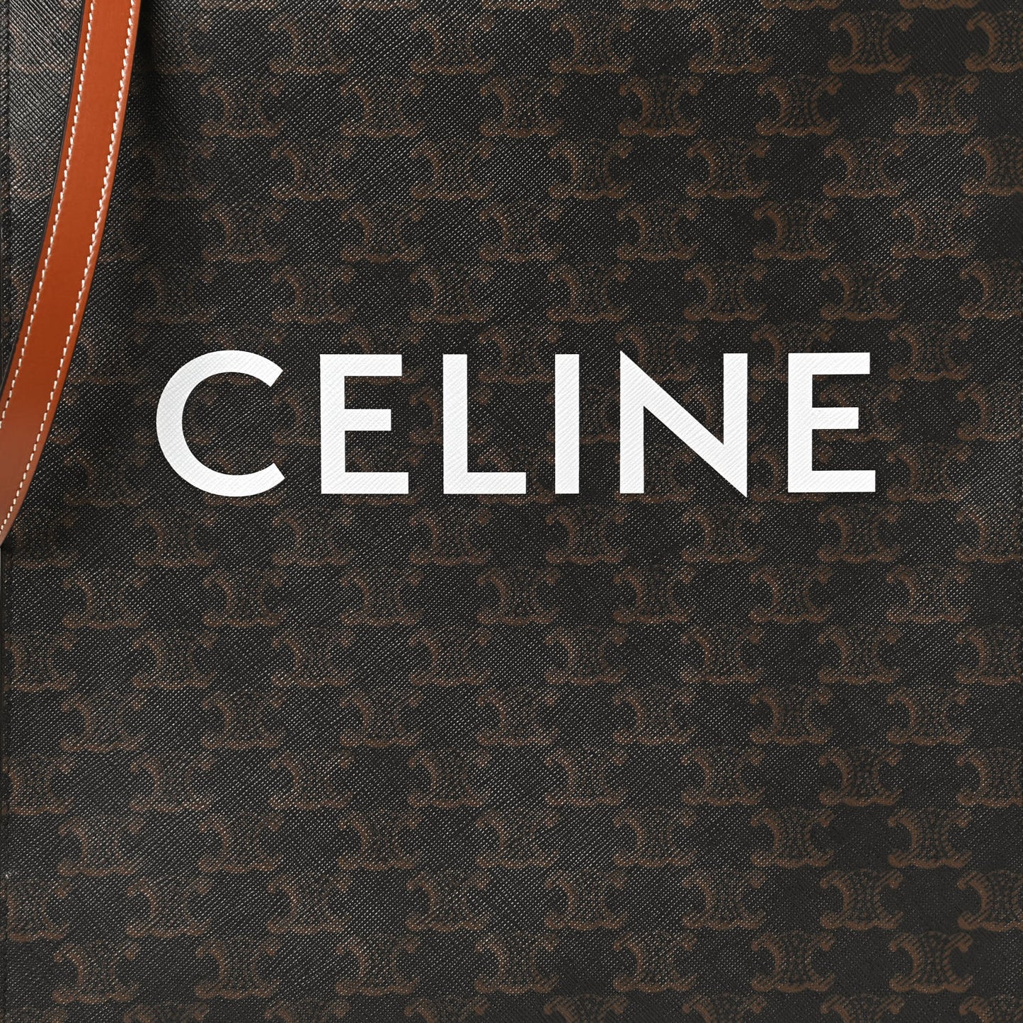 Triomphe Canvas Calfskin Small Vertical Cabas Tan