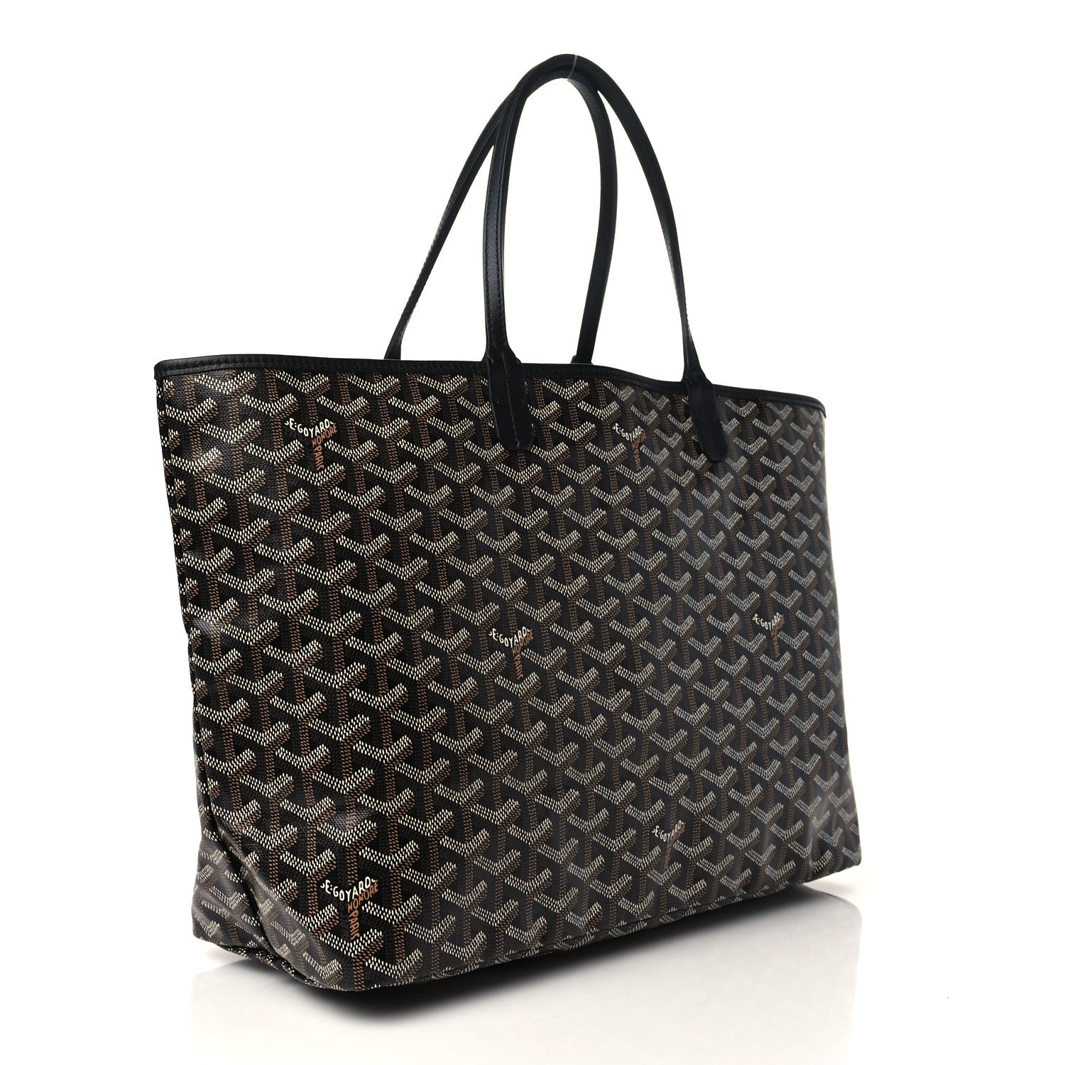 Goyard Goyardine Saint Louis PM Black 4 of 7