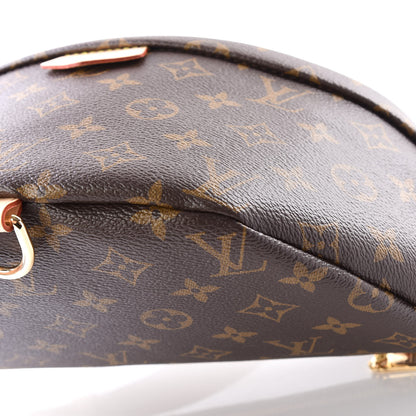 Louis Vuitton Monogram Bumbag 7 of 8