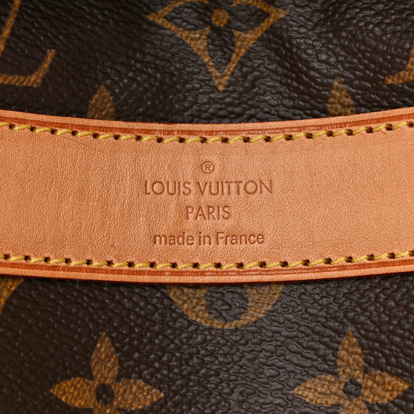 Monogram Dog Carrier 50