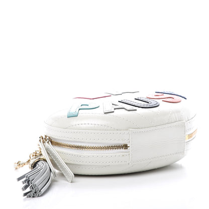 Chanel Embroidered Lambskin Chevron Quilted La Pausa Evening Bag White 4 of 8