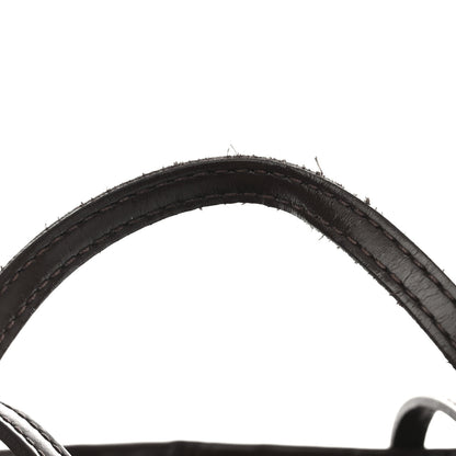 Louis Vuitton Damier Ebene Neverfull GM 13 of 13