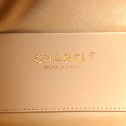 Chanel Pony Hair Mini Chanel 25 Handbag Beige Black 6 of 11