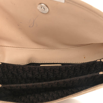 Christian Dior Suede Admit It Hobo Beige 4 of 12