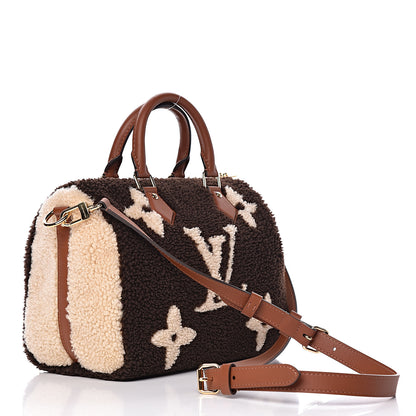 Louis Vuitton Monogram Teddy Speedy Bandouliere 25 4 of 11