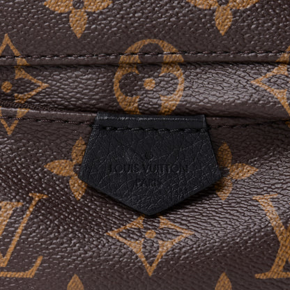 Louis Vuitton Monogram Palm Springs Backpack Mini 8 of 11