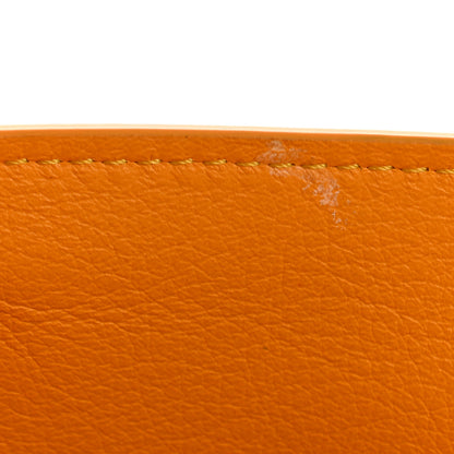 Goyard Goyardine Mini Saigon Yellow 11 of 13