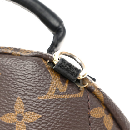 Louis Vuitton Monogram Palm Springs Backpack Mini 12 of 12